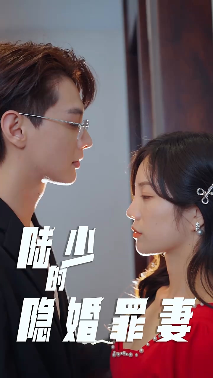 陆少的隐婚罪妻全集
