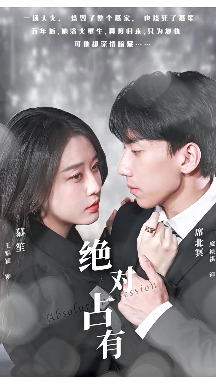 绝对占有全集