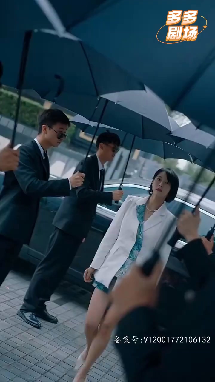 闻先生的马甲又掉了全集