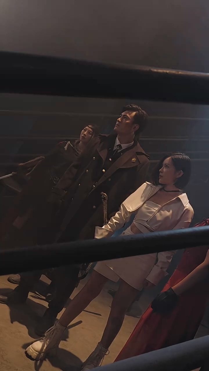 我真的不是至尊全集