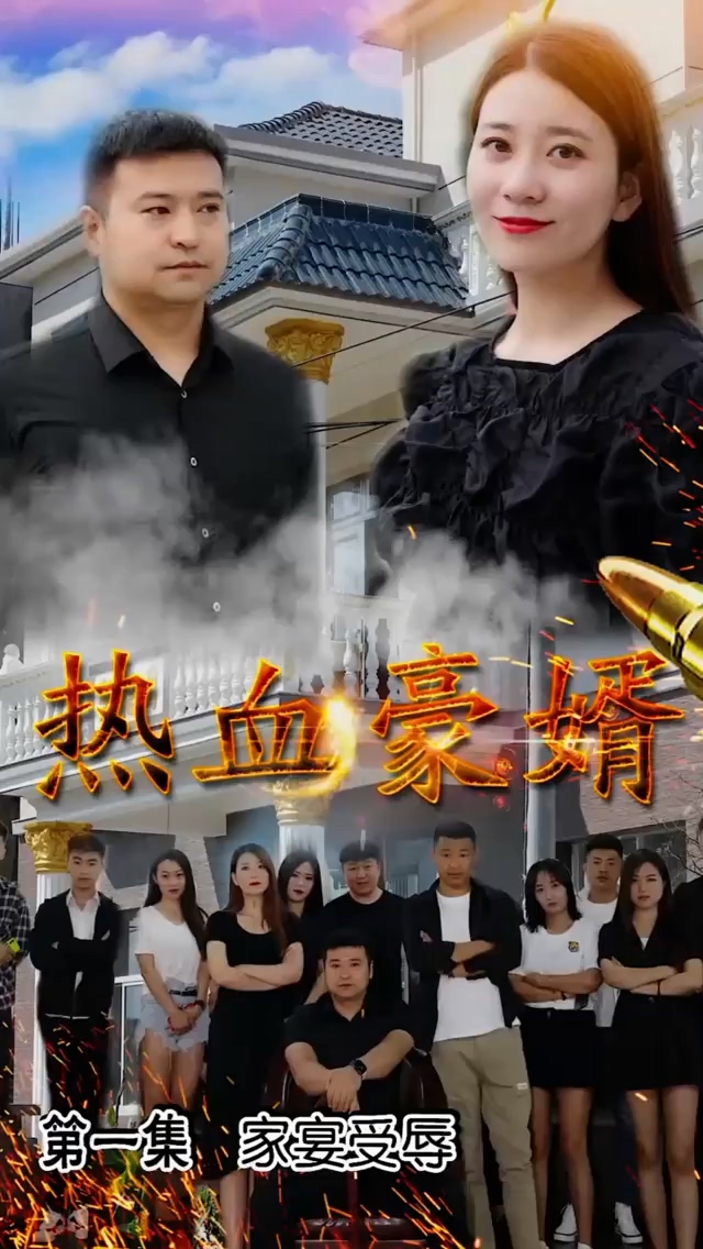 热血豪婿全集