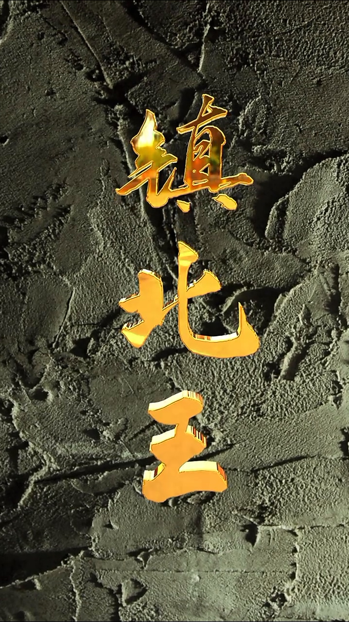 镇北王全集