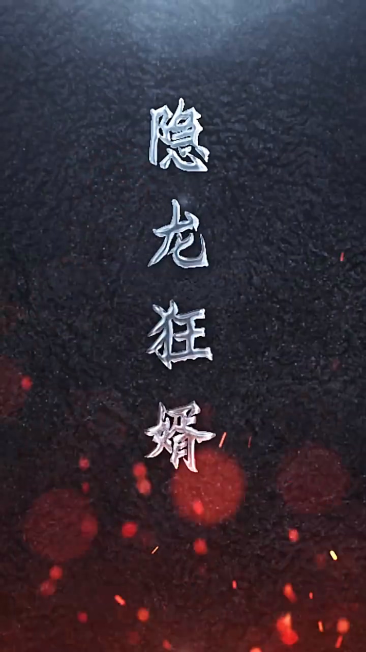 隐龙狂婿全集