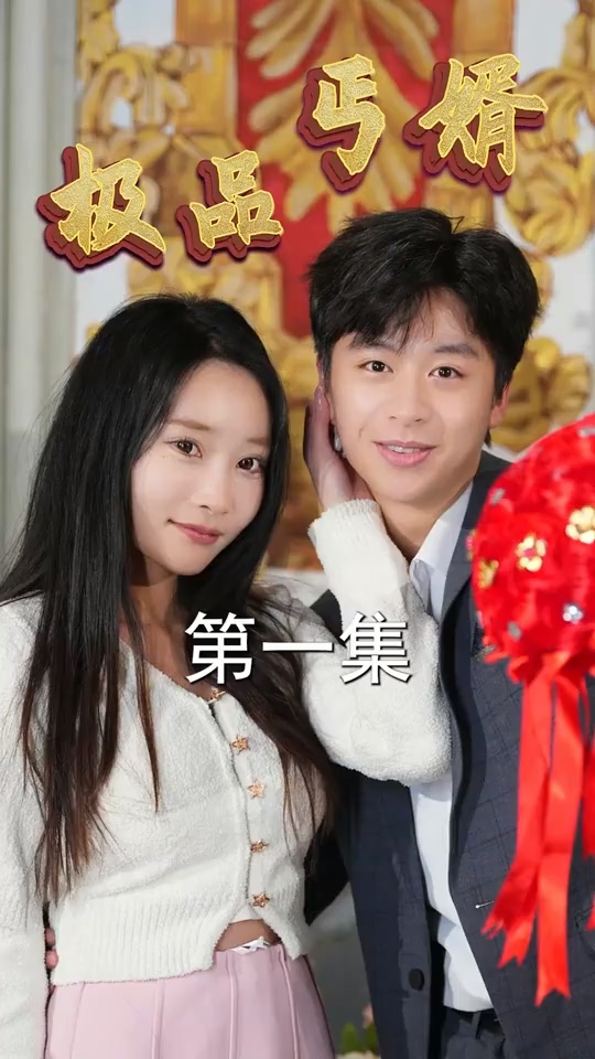 极品丐婿全集