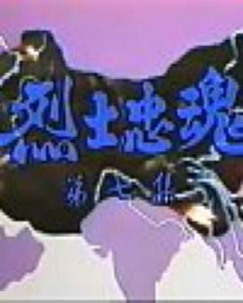 烈士忠魂国语全集