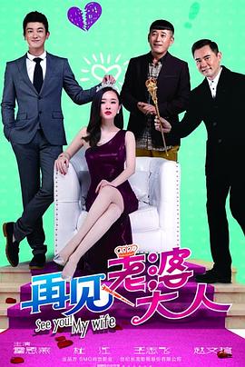 再见，老婆大人全集