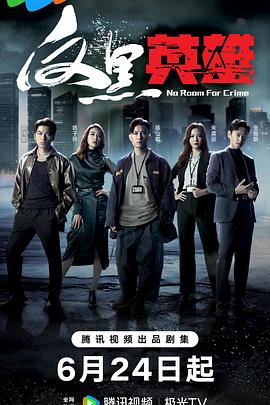 反黑英雄粤语全集