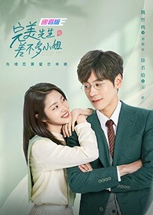 完美先生和差不多小姐速看版全集