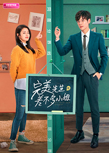 完美先生和差不多小姐印尼语字幕版全集