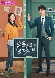 完美先生和差不多小姐越南语版全集