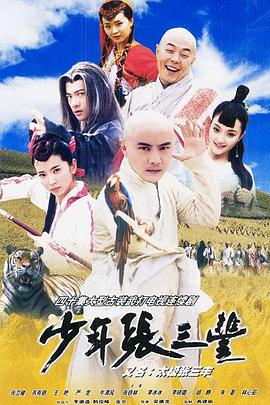 少年张三丰2001全集