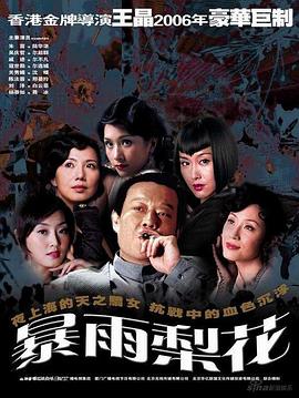 暴雨梨花全集
