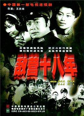 敌营十八年1981全集