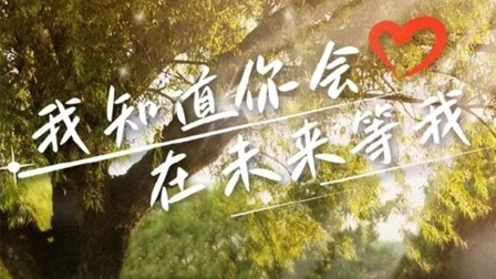 我知道你会在未来等我全集