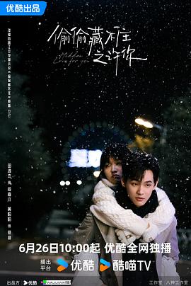 偷偷藏不住之许你全集