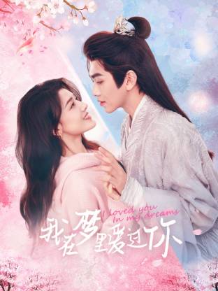 我在梦里爱过你全集
