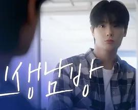 格纹衬衫第二季全集