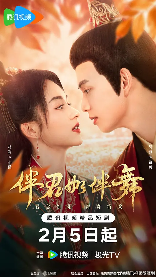 伴君如伴舞全集