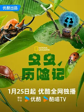 虫虫历险记全集