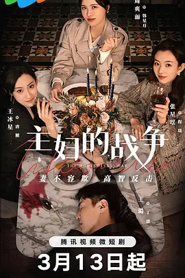 主妇的战争全集