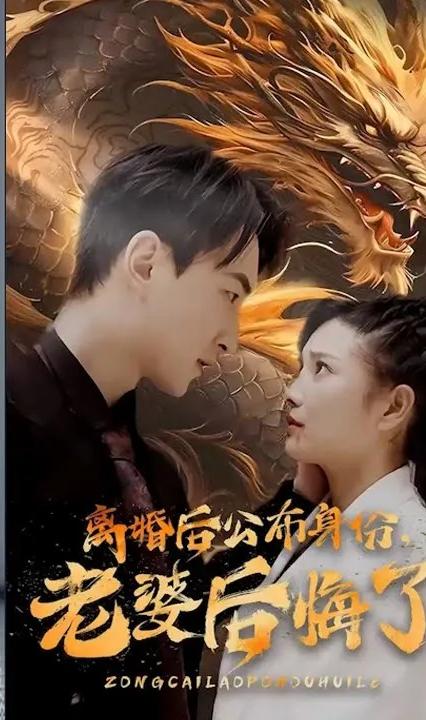离婚后公布身份，老婆后悔了全集