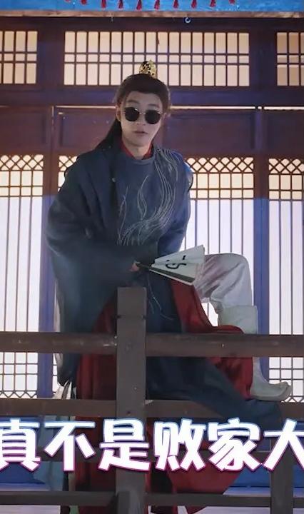 我真不是败家大少全集