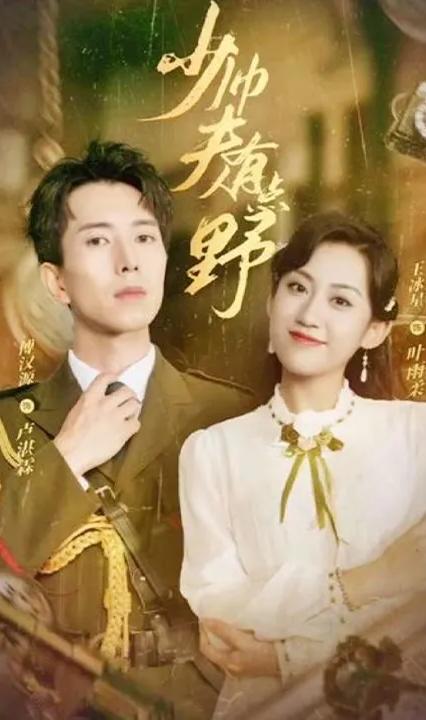 少帅夫人有点野全集