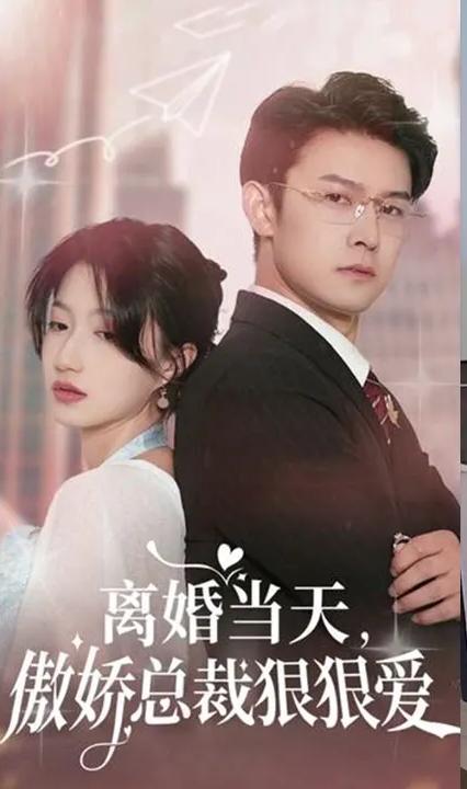 离婚当天，傲娇总裁狠狠爱全集