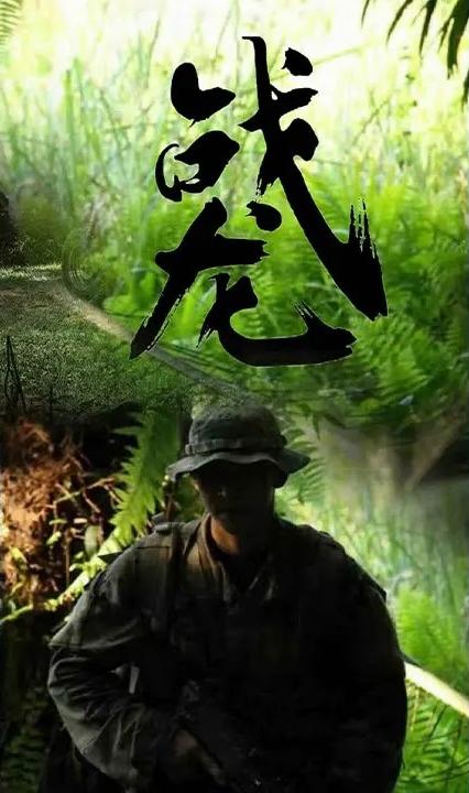 战龙全集
