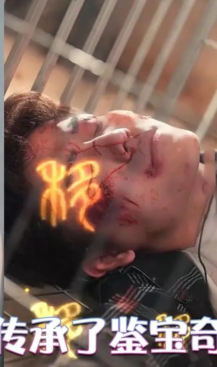 我传承了鉴宝奇术全集