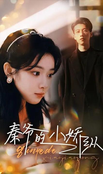 秦爷的小娇纵全集