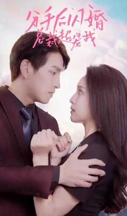 分手后闪婚总裁超宠我全集