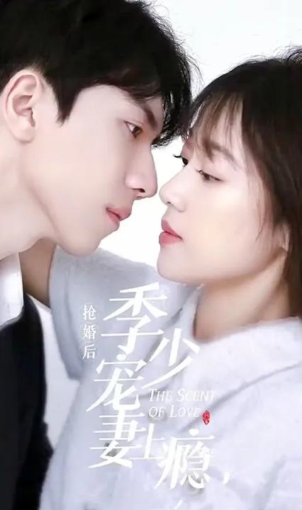 抢婚后，季少宠妻上瘾全集