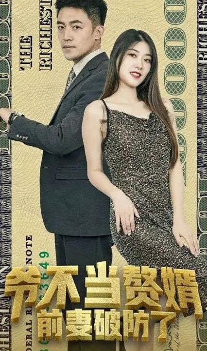 爷不当赘婿，前妻破防了全集