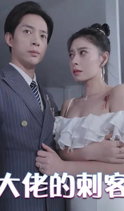 隐世大佬的刺客老婆全集