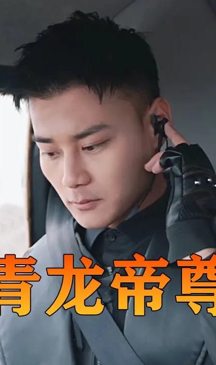 青龙帝尊全集