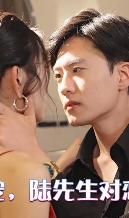 闪婚成宠，陆先生对恋爱过敏全集