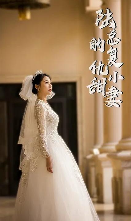 陆总的复仇小甜妻全集