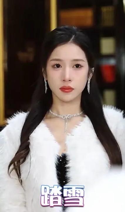 踏雪全集