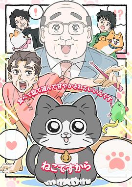 转生成猫的大叔全集
