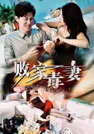 败家毒妻全集
