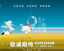 五十公里桃花坞5第20250722期上