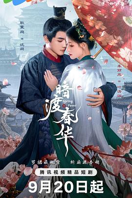 暗渡春华第20集