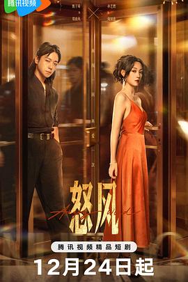 怒风第11集