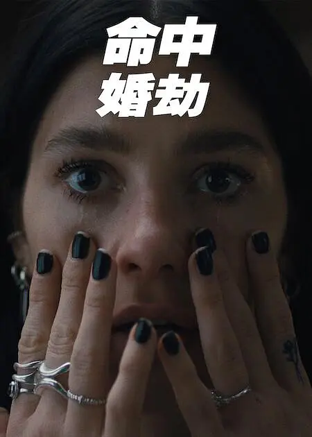 命中婚劫全集